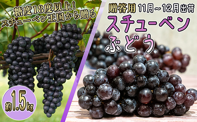 11～12月 津軽ぶどう村 特秀 スチューベン ぶどう 約 1.5kg 糖度18度