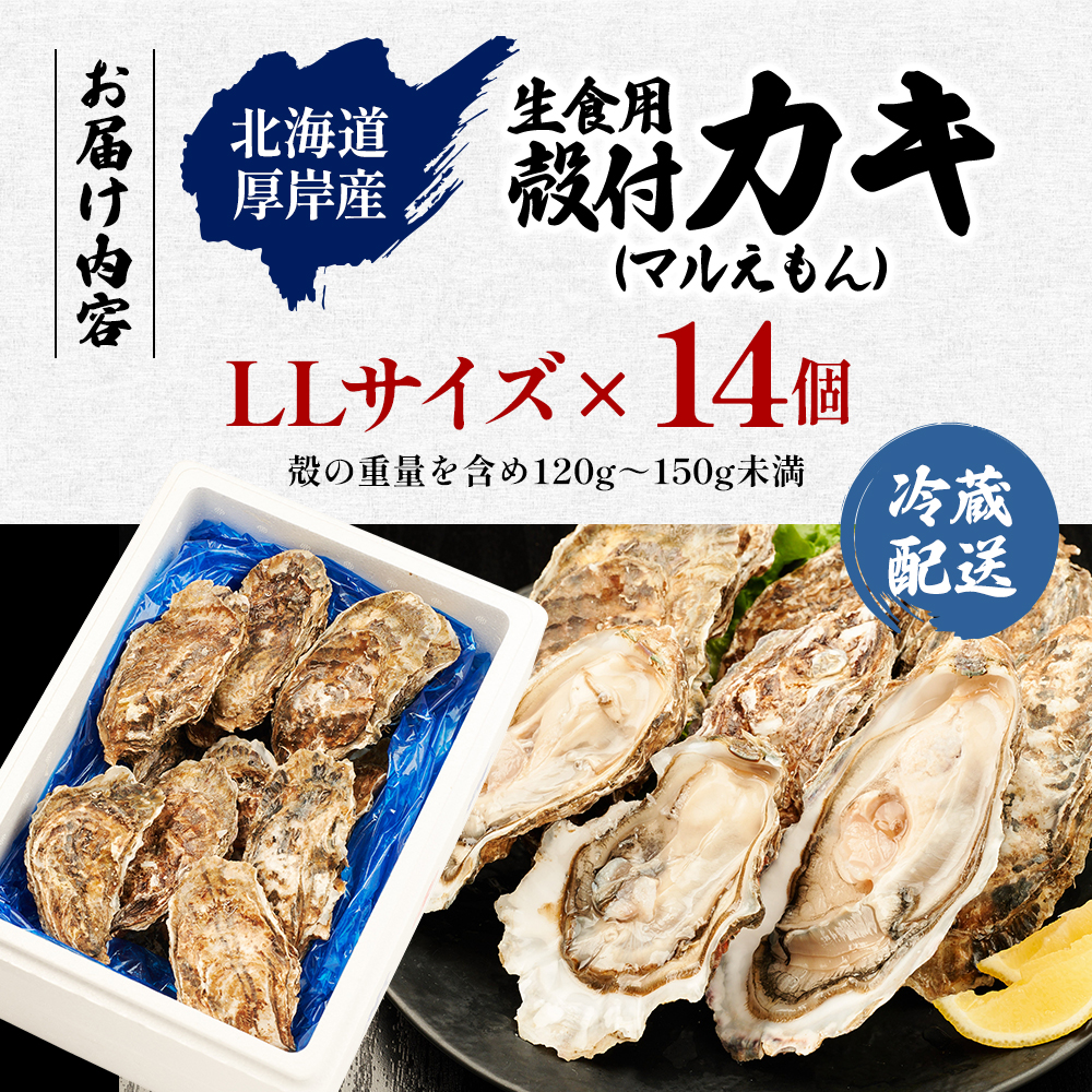北海道 厚岸産 ブランド牡蠣 マルえもん 殻付き 牡蠣 LLサイズ 14個