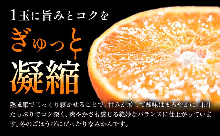先行予約】蔵出し熟成みかん『極』 1箱 《2月中旬-2月末頃出荷