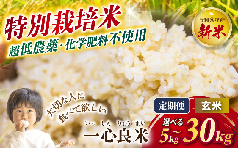 特別栽培米　稲架け　減農薬　新米　5キロ コシヒカリ　玄米　白米　無洗米　限定 ≪令和8年 新米≫特別栽培米【極低農薬・カキ殻米ぬか肥料】玄米