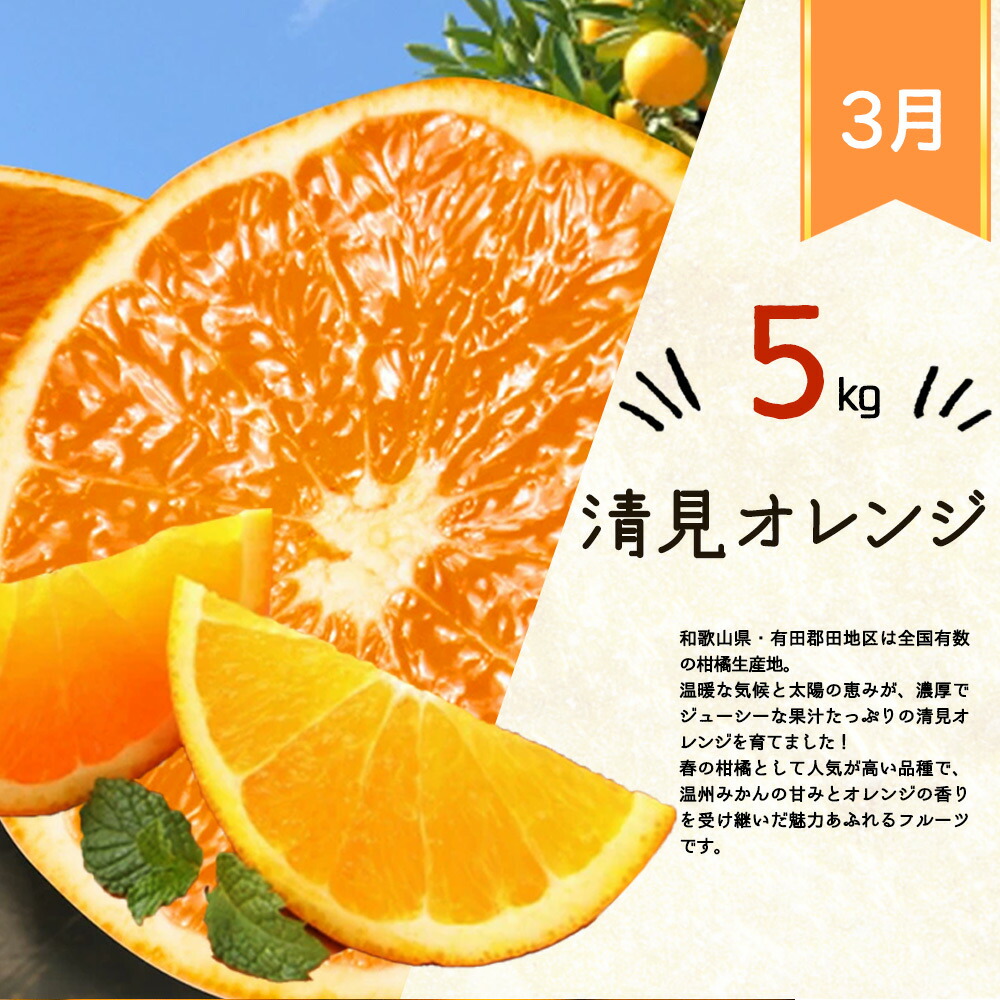 定期便 全4回】紀州和歌山産旬の柑橘セット（みかん・ポンカン・清見
