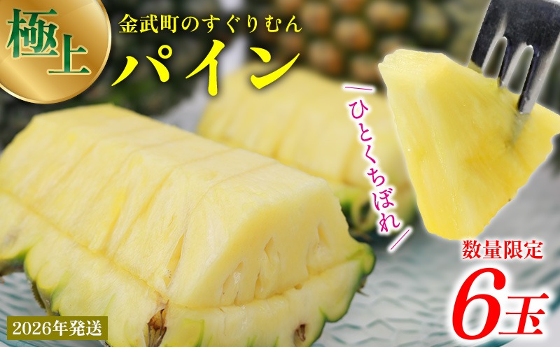 2026年発送【数量限定】ひとくちぼれ 金武町のすぐりむん（極上