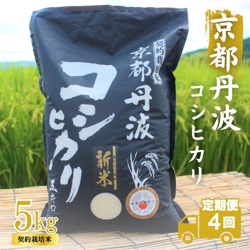 4カ月定期便】令和7年産 京都丹波産 こしひかり 5kg 合計20kg（京都府