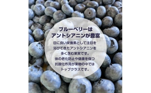 先行予約：2026年8月中旬以降発送】【余市産無農薬】冷凍ブルーベリー