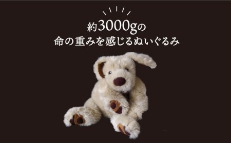 0ececf8c-8918-4c3d-aa68-