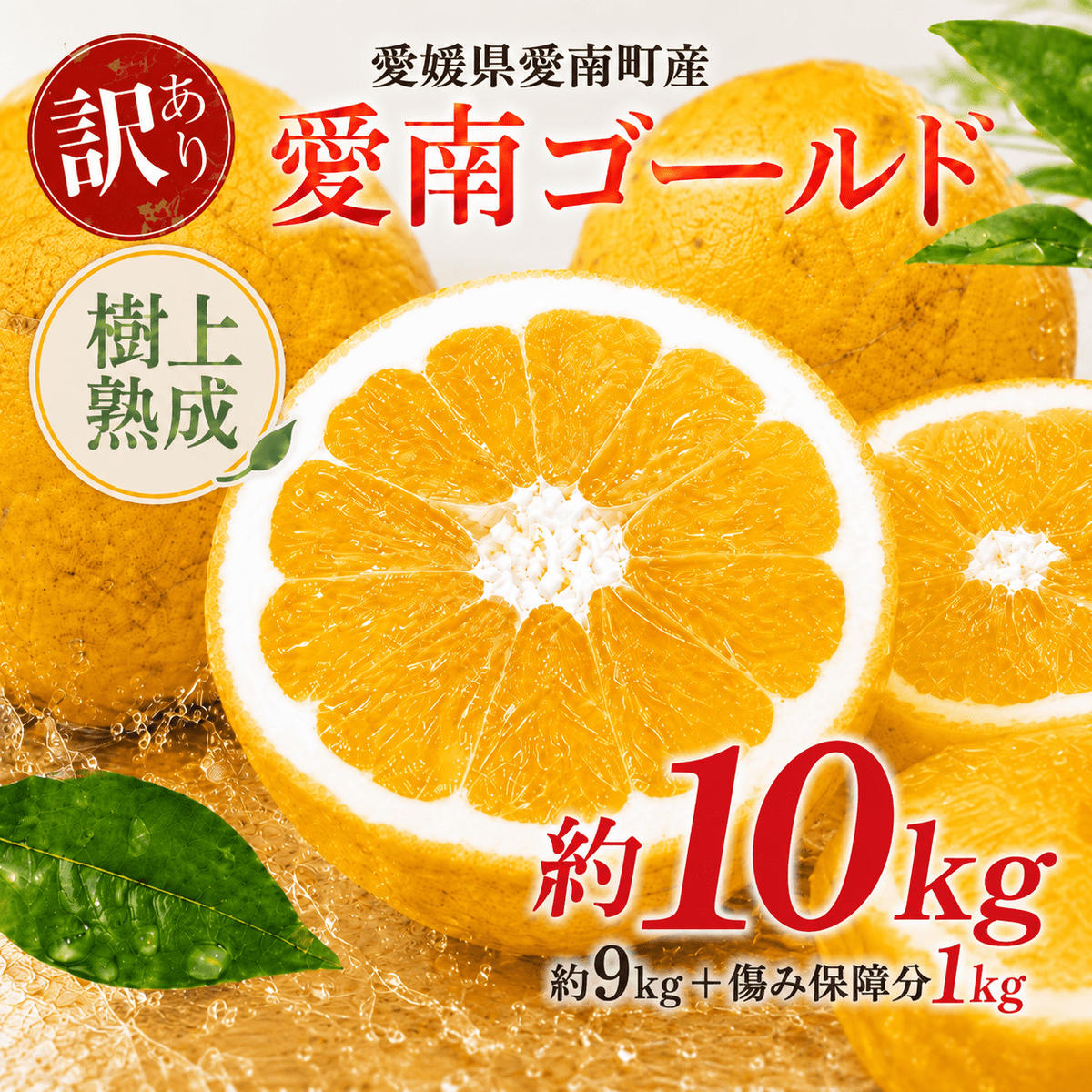 ミカン 木成り 追熟 訳あり 愛南ゴールド 9kg+傷み保証分1kg 合計約10kg 河内