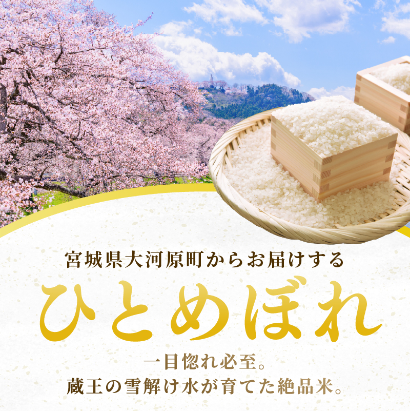 ひとめぼれ 定期便3回/5kg×2袋 令和8年産 新米 先行予約 宮城県産 米