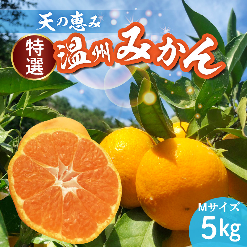 2026年先行予約】天の恵み 温州みかん Mサイズ 特選 5kg【ミカン 蜜柑
