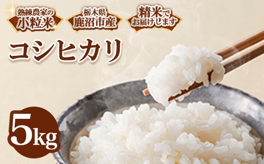 令和7年度産 栃木県鹿沼市産 コシヒカリ 小粒米(精米) 5kg | 小粒米 
