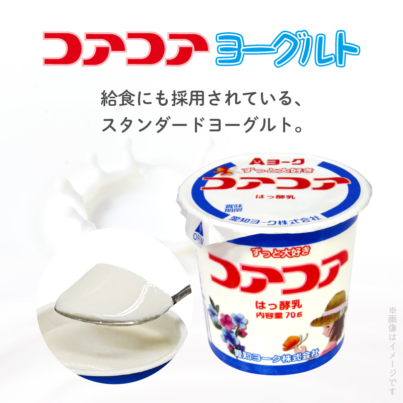 6ヶ月定期便】愛知ヨーク コアコアヨーグルト 20個入［108A02-T