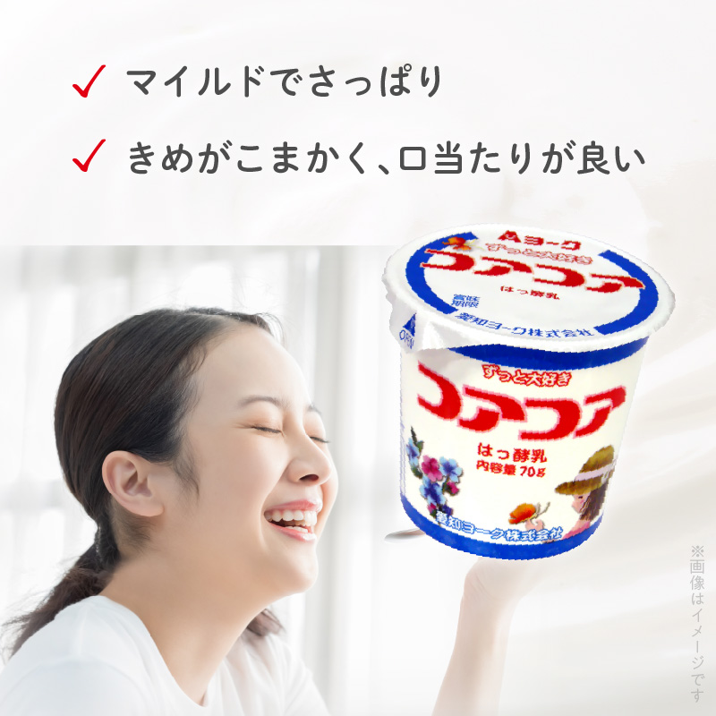 6ヶ月定期便】愛知ヨーク コアコアヨーグルト 20個入［108A02-T