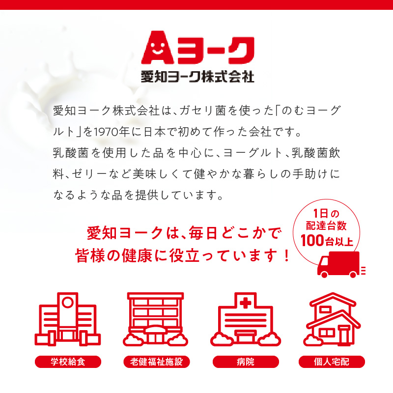 3ヶ月定期便】愛知ヨーク コアコアヨーグルト 20個入［108A01-T