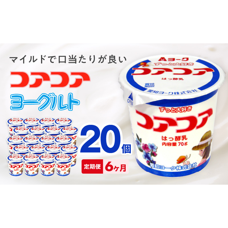 6ヶ月定期便】愛知ヨーク コアコアヨーグルト 20個入［108A02-T