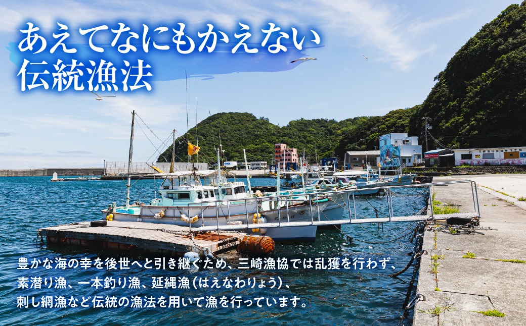 伊勢海老ぶつ切り＆ハーフカット 1人前 IKTJ028（愛媛県伊方町