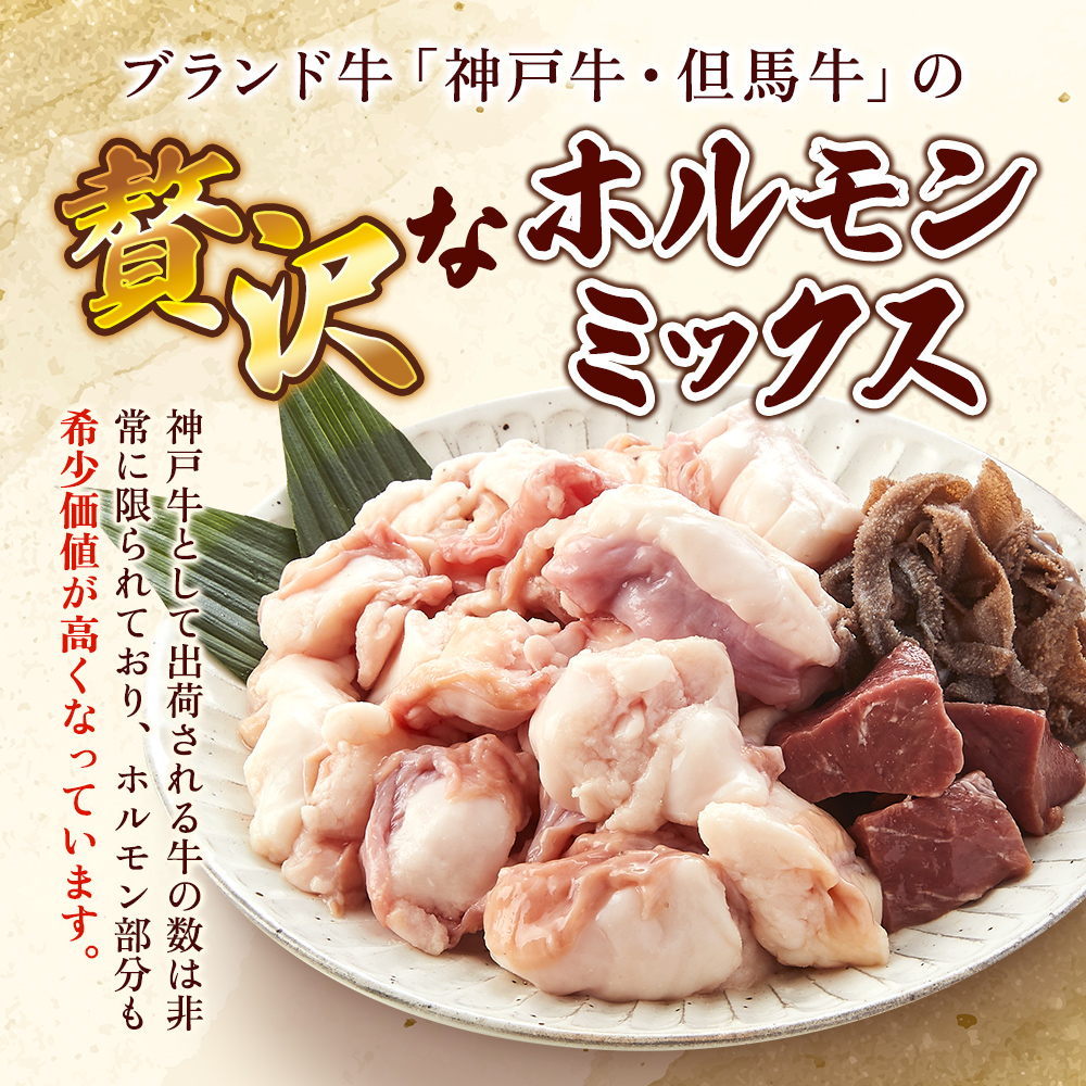 神戸牛・但馬牛】ホルモンミックス 500g 小腸 大腸 ミノ ハチノス