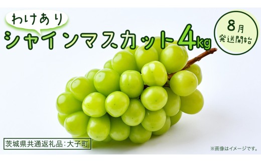 雄宝 シャインマスカット 訳あり 雄宝の産直通販・お取り寄せ商品｜ポケットマルシェ｜産地直送で旬の 4kg お試しパック 果物