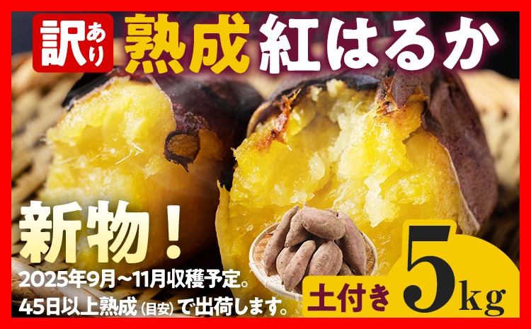 先行予約 訳あり 紅はるか 熟成 紅はるか 5kg さつまいも 4000円 芋