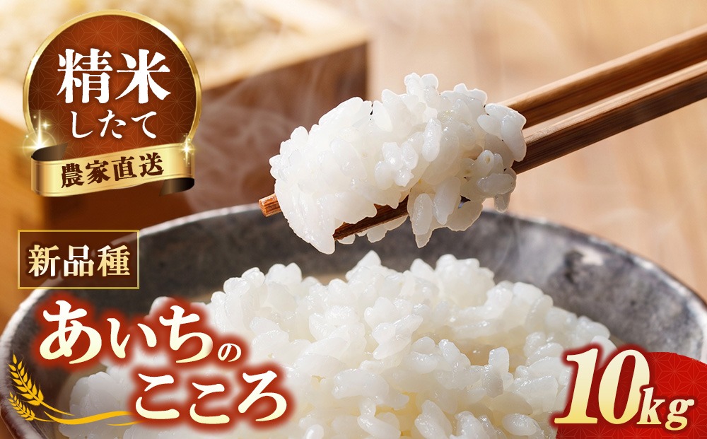 先行予約】新米 令和8年産 あいちのこころ 10kg ※2026年10月～発送