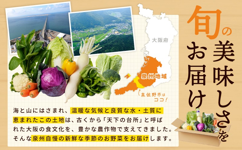 ピクルスのブルーです U.900 Turquoise - Knirps(クニルプス)日本公式オンラインストア