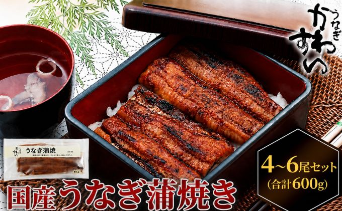 うなぎ 蒲焼き 国産 4～6尾 合計600g以上 タレ8個付き 鰻 ウナギ