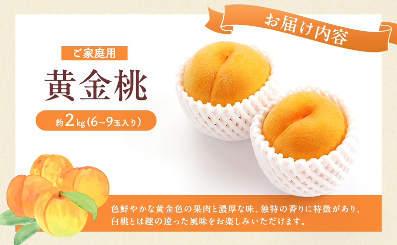 桃 2027年 先行予約 岡山 黄金桃 ご家庭用 約2kg 6～9玉入り もも モモ