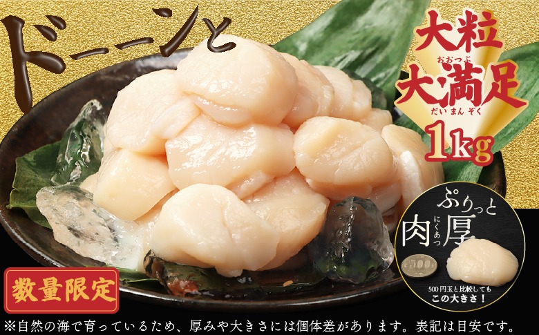 在庫限り！数量限定】大粒ほたて貝柱 1kg【06002507】（北海道長万部町