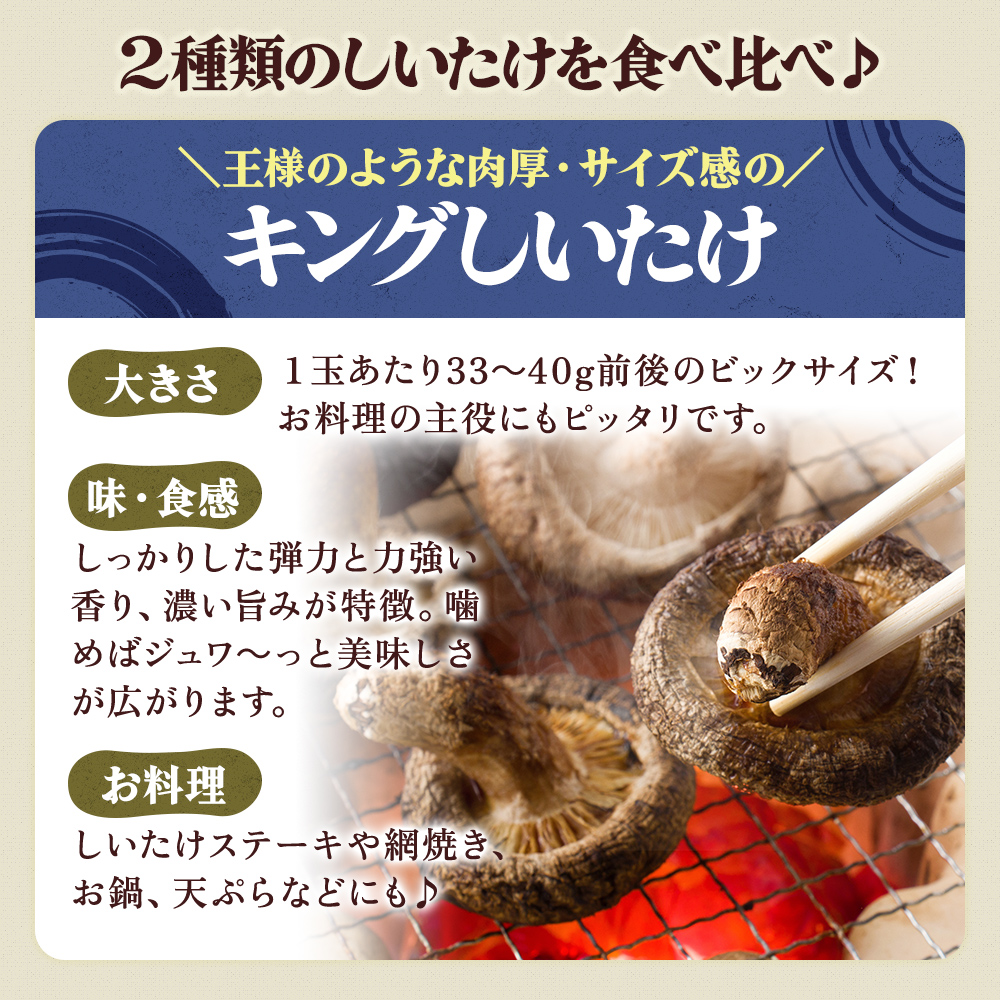 北海道産 厚岸町 上尾幌 菌床栽培 キングしいたけ 1パック プリンス