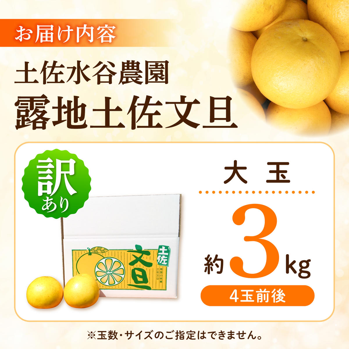 先行予約】文旦 家庭用大玉 3キロ 3kg（3L～上限なし：4玉前後）〈2027