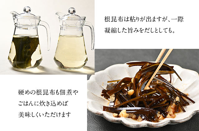 北海道礼文島産 根昆布 900g（300g×3個） 魚貝類 こんぶ （北海道礼文
