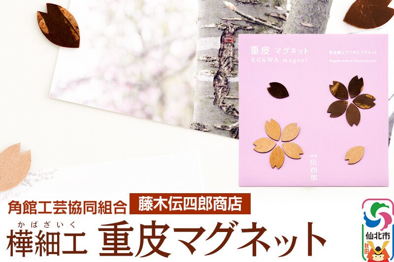 角館樺細工《藤木伝四郎商店》桜の花びらの形 重皮マグネット ゆう