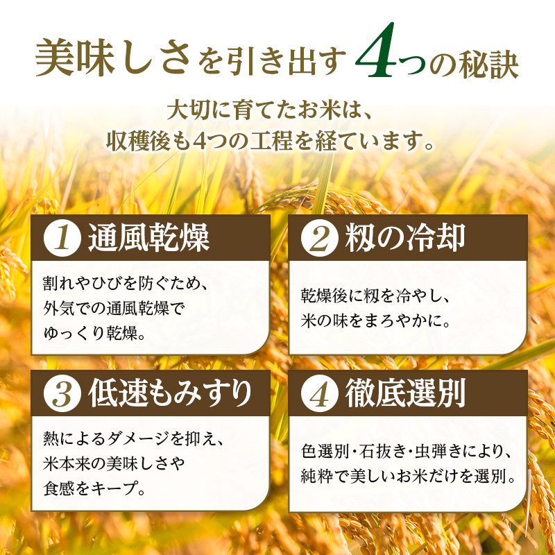 令和7年産 まっしぐら 玄米 30kg [H.GREENWORK] 青森県 鯵ヶ沢産 / お