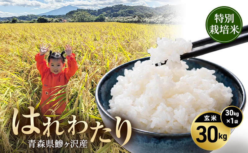 令和8年産 米 特別栽培米 はれわたり 30kg [玄米] 青森県産 新米 先行