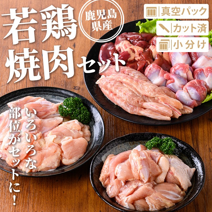 isa726 鹿児島県産 若鶏焼肉セット (合計4.2kg) 鹿児島県産 小分け