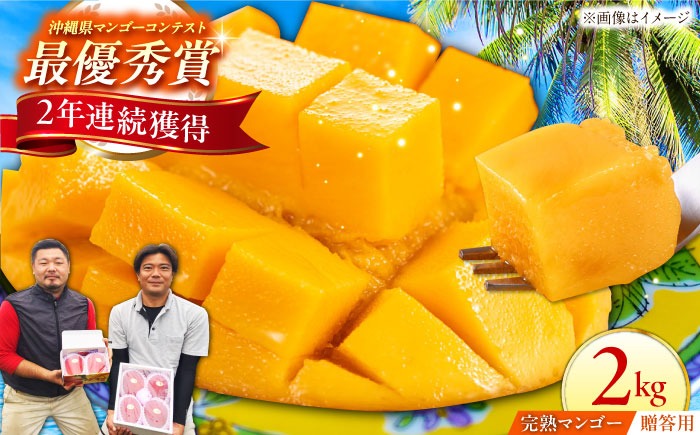 【説明必見】果物　フルーツ　マンゴー　 2kg 産地発送　甘い　贈答用　ギフト 贈答用】仲村農園の完熟アップルマンゴー2kg マンゴー 沖縄 果物
