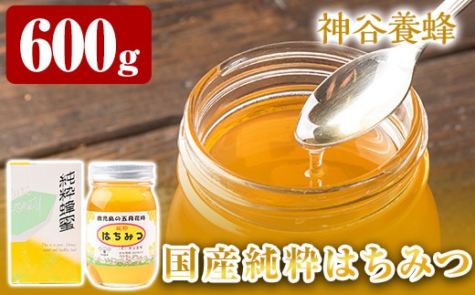 a686 国産！純粋はちみつ(600g)【神谷養蜂】（鹿児島県姶良市