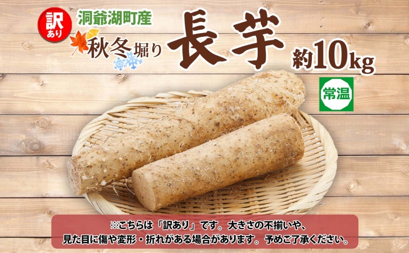 洞爺湖町産 訳あり 長芋 約10kg 2026年12月上旬から順次お届け 長いも