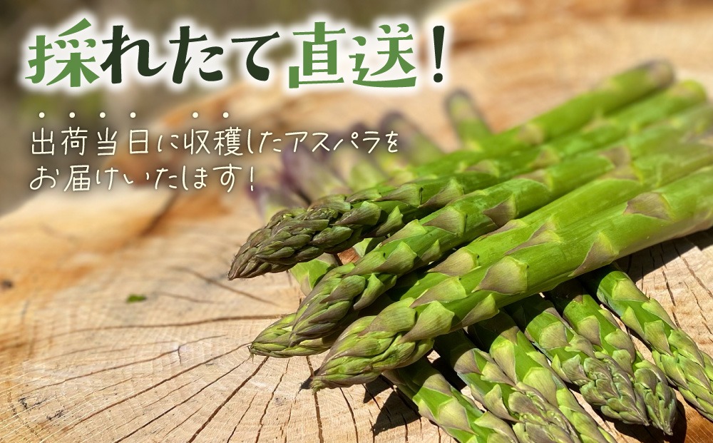 先行予約＞【訳あり品】あまーい！北海道産夏アスパラ 2kg【ffk-007