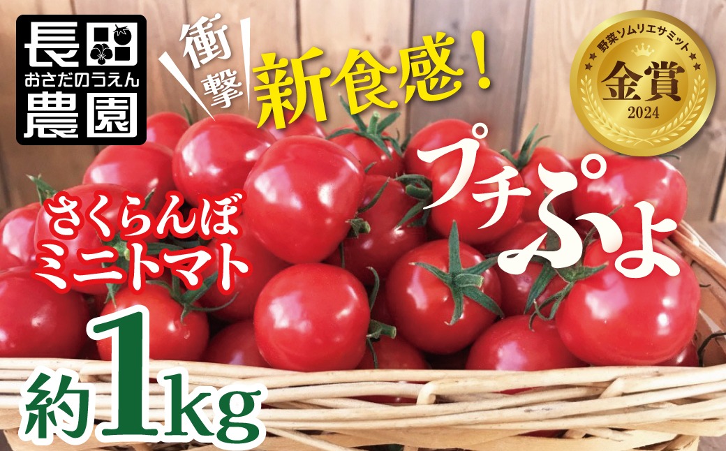 【超特価】 衝撃の一粒!!奇跡のさくらんぼミニトマト(プチぷよ) 野菜 約1kg その他