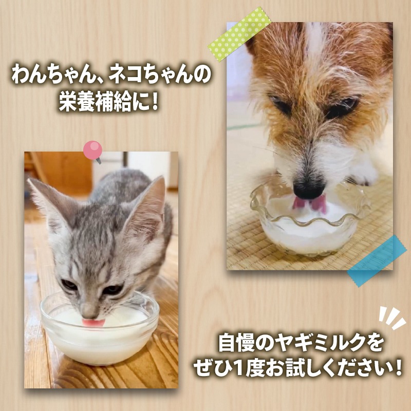 ペット 用 ミルク ヤギ 100ml × 7本 山羊 新鮮 栄養補給 乳 犬 猫 冷凍