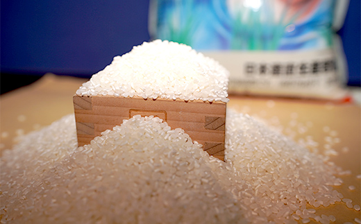 令和7年産 新米 有機栽培米コシヒカリ 石川県加賀市産（合鴨米）精米