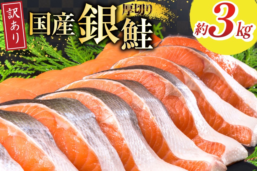 訳あり 国産 減塩 厚切り 塩銀鮭 切身 計 3kg [足利本店 宮城県 気仙沼