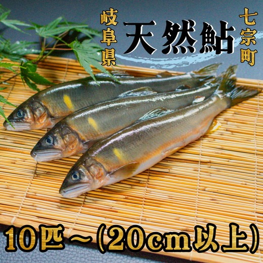 【金色に輝く】岐阜県産　天然鮎干し　鮎ジャーキー　鮮度抜群　愛犬用　栄養満点 子持ち限定【金色に輝く】岐阜県産 天然鮎干し 子持ち鮎