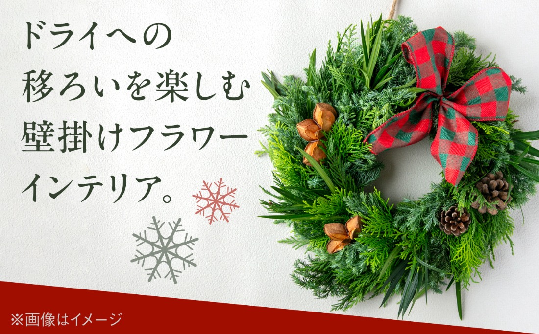 先行受付】フレッシュグリーンのクリスマスリース 【2026年11月下旬