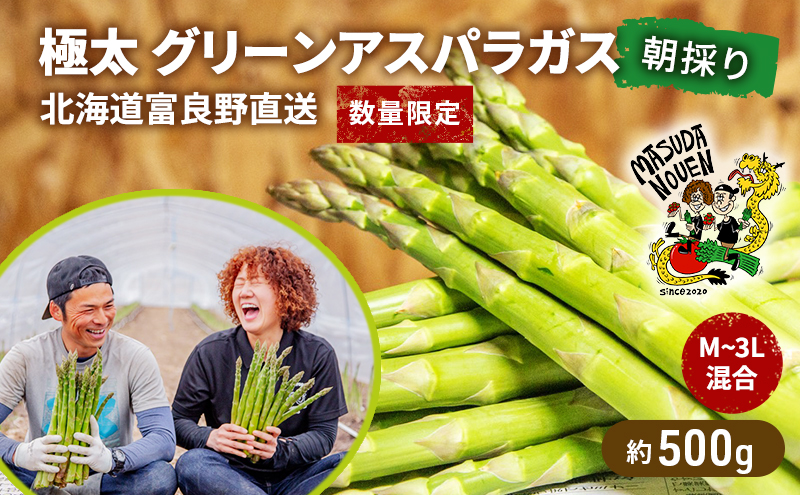 数量限定・2027年4月～発送】富良野 益田農園産 極太 グリーンアスパラ
