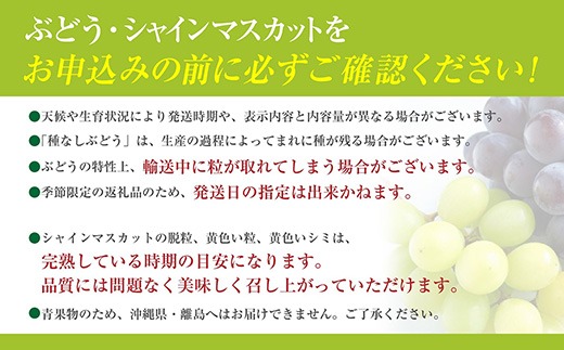手軽に楽しむ《徳用・粒ぶどう》 【シャインマスカット】 1.0kg