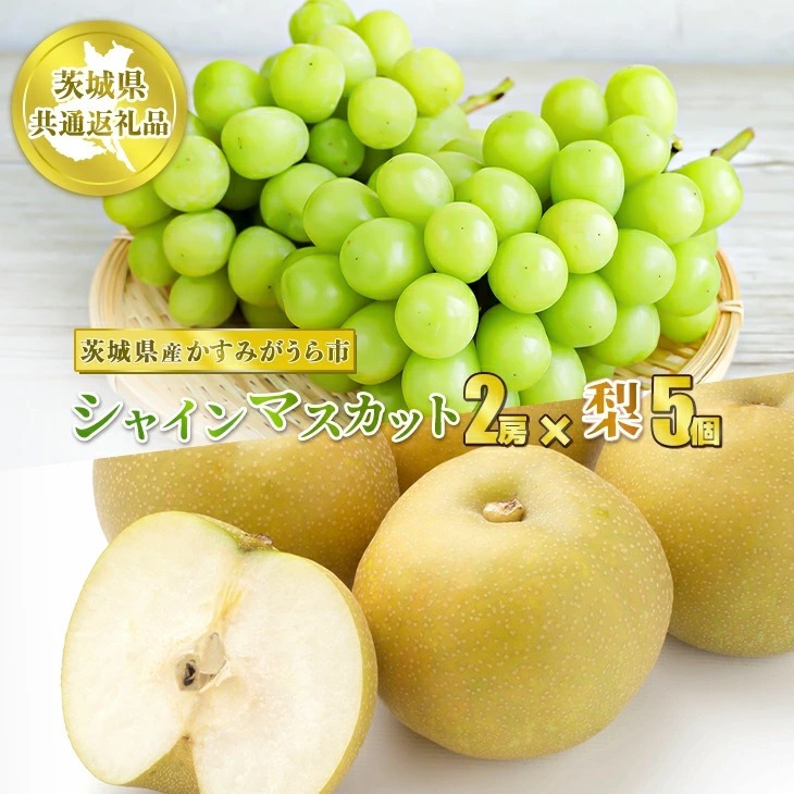 シャインマスカット2房と梨5個【茨城県共通返礼品 かすみがうら