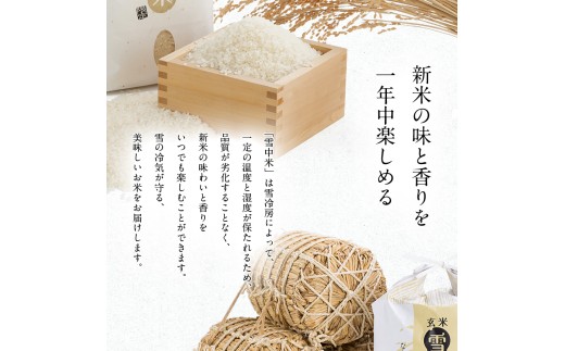 令和8年産 特Aランク米 ななつぼし 玄米 20kg（10kg×2袋）【3月発送