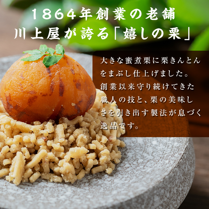 御菓子所 川上屋 栗菓子 嬉しの栗10個入 F4N-1896（岐阜県中津川市