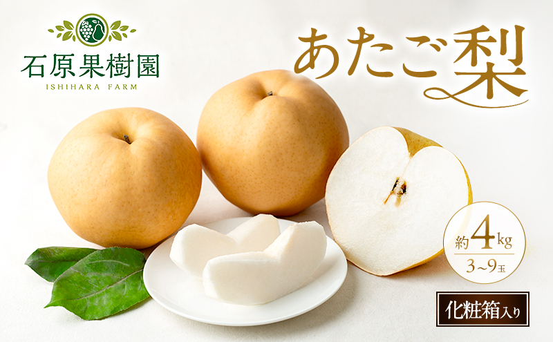 梨 2026年 先行予約 あたご梨 3～9玉 合計約4kg 化粧箱【11月下旬～12