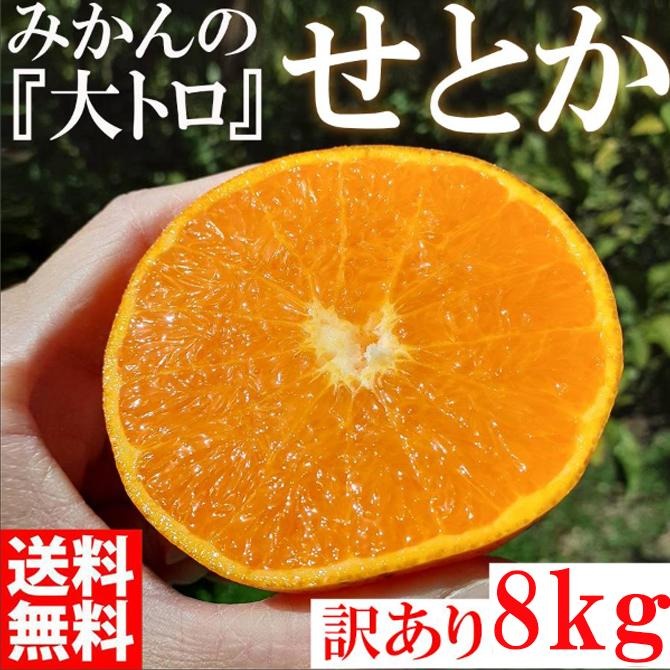 せとか ＜別名-みかんの大トロ＞ 和歌山県有田川町産 オレンジ 家庭用 8kg   CE045